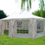 Give your celebration a producer new actual physical appearance with celebration canopy!