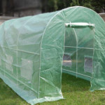 How to Use a Portable Greenhouse to Grow Vegetables