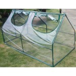 Grow Plants in Mini Greenhouse All Year Around
